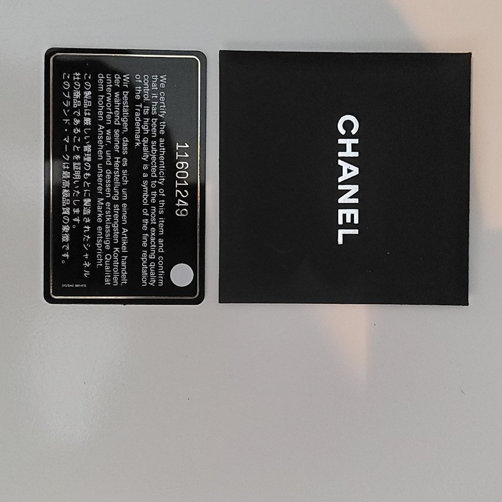 CHANEL Rare Collection Python Bag - Picture 2 of 5